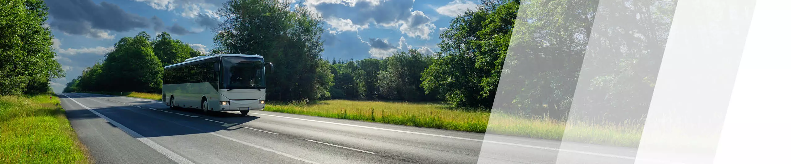 Ein Bus fährt über eine Landstraße