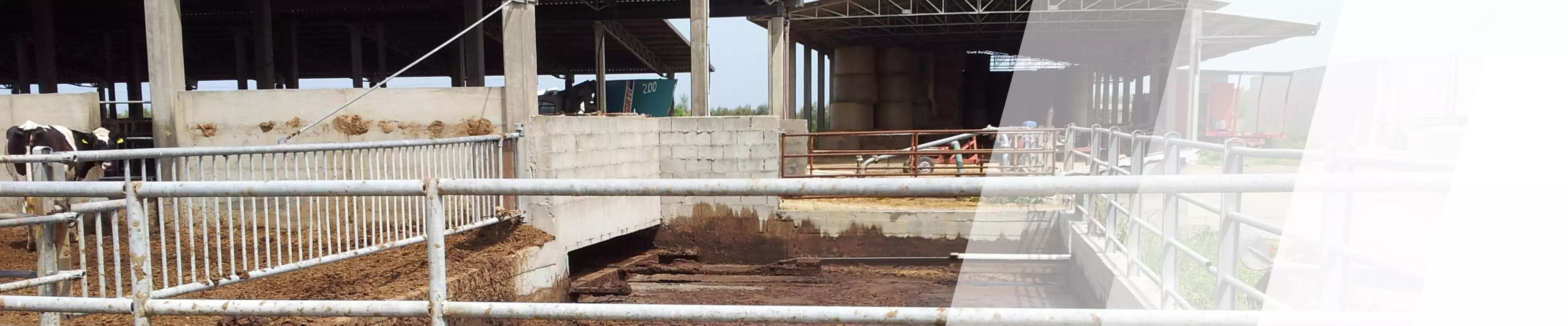 Stallanlage in einer Landwirtschaft
