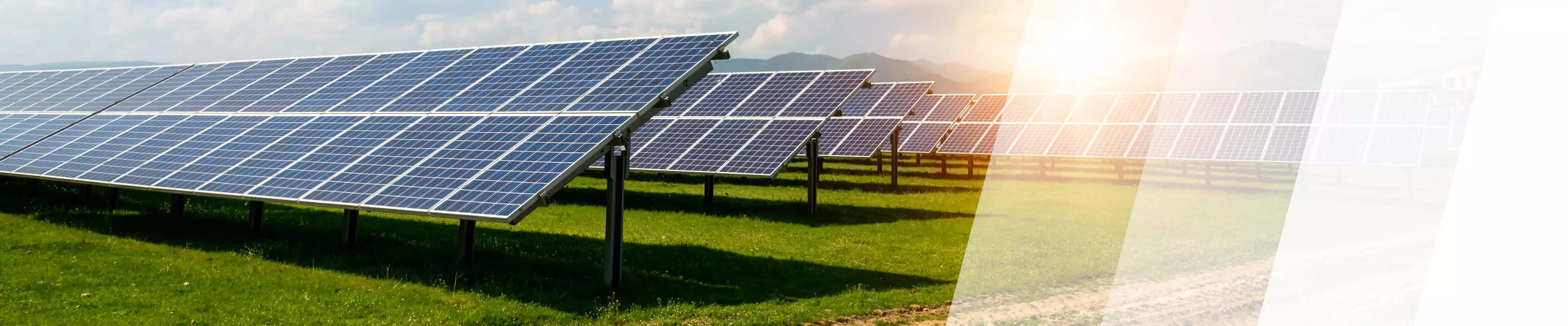 Solarpark mit vielen Solarmodulen