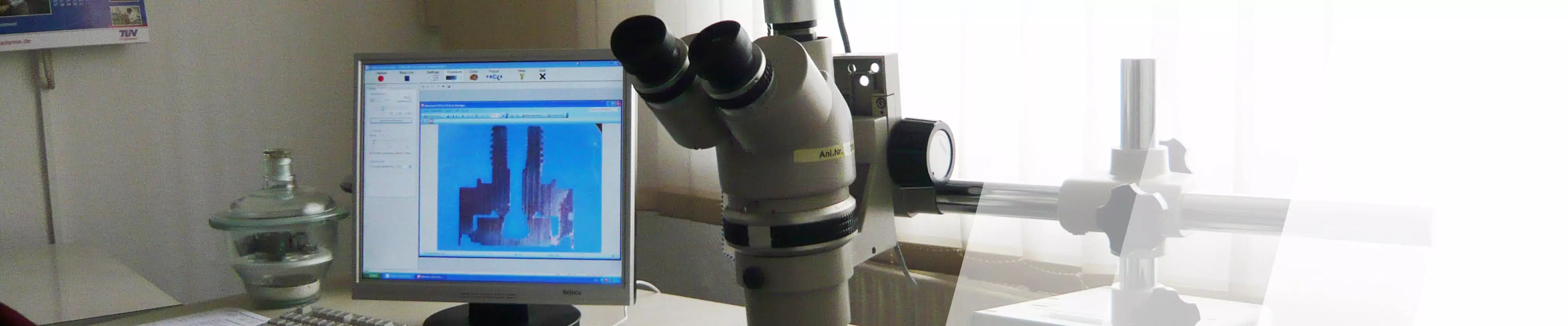 Mikroskopaufnahme auf einem Monitor